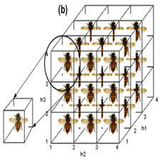 A hybrid multi-agent based particle swarm optimization algorithm[taliem.ir]