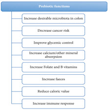 Development of prebiotic food products and health benefts[taliem.ir]