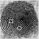FingerCode A Filterbank for Fingerprint Representation and[taliem.ir]