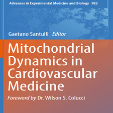 Mitochondrial.Dynamics.in.Cardiovascular.[taliem.ir]