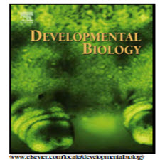 STEM CELLS AND PLANT REGENERATION-taliem-ir