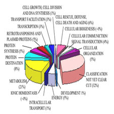 Technical aspects of functional proteomics in plants[taliem.ir]