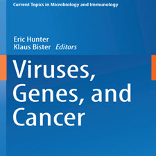 Viruses.Genes.and.Cancer.(Current.Topics.in.Microbiology.and.Immunology).[taliem.ir]